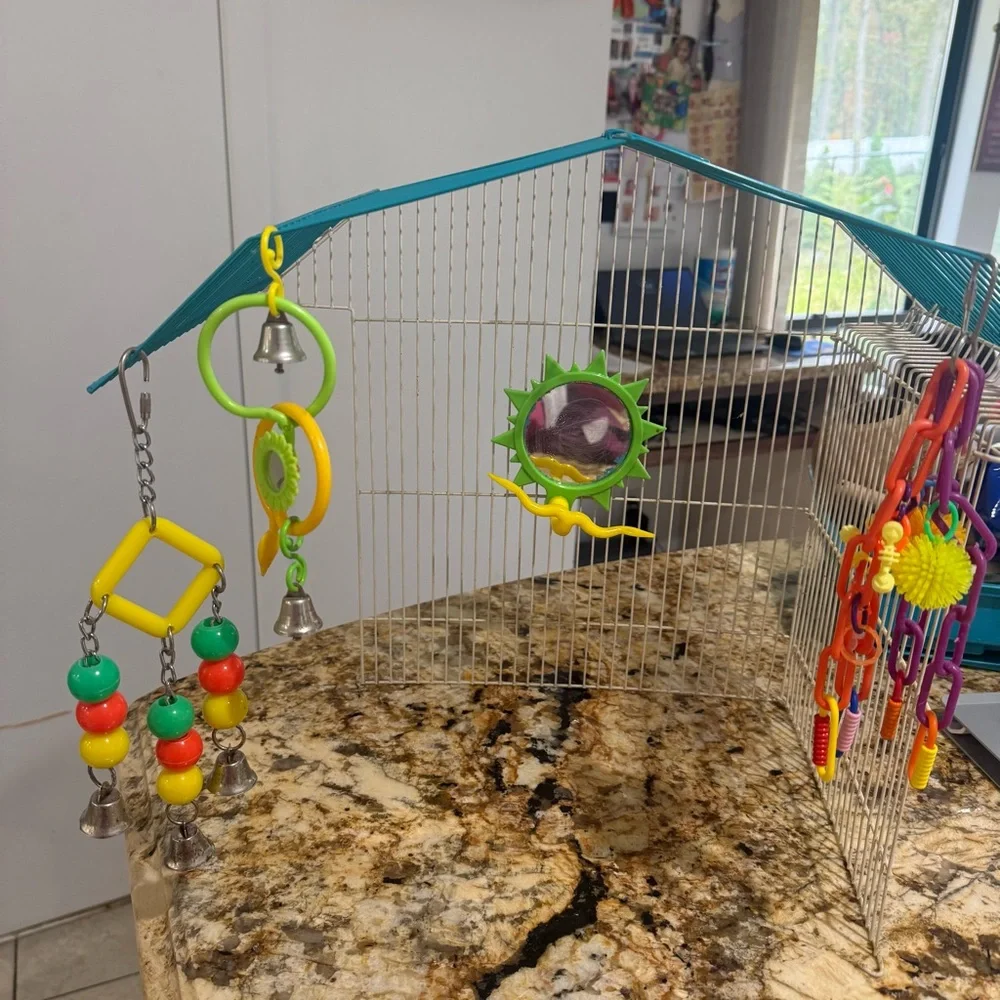 Vibrant Hanging Bird Toy Set with Bells